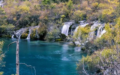 可靠性高端